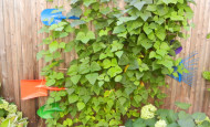 How To Build A Shovel Trellis