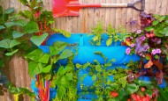 Wall garden with Woolly Pocket and shovel art.