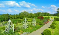 P. Allen Smith's gorgeous Arkansas garden.