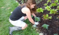 Shawna Coronado planting vegetables in her front lawn vegetable garden