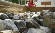 Rocks dug out of Shawna Coronado garden