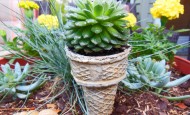 Ice Cream Cone Container Garden