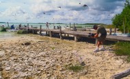 Photo of quicksand and masses of butterflies in Sian Kaan, Mexico.