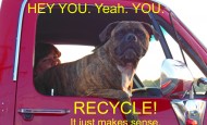Super Recycle Dog