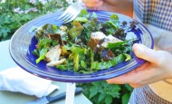 Cooking kale and swiss chard salad with walnuts and raisins.