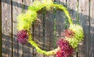 Allium Wreath