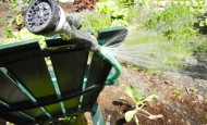 watering garden with ripped hose