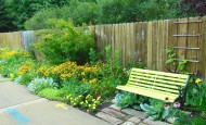 Shawna Coronado's Guerrilla Garden Kick Ass Green Bench
