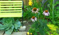 The Leftover Garden