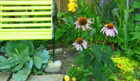 The Leftover Garden