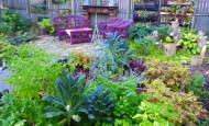 Shawna's Full Shade Kitchen Garden