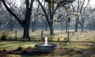 Carolyn Binders Fountain