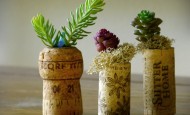Cork Planters
