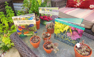 Bottle trees, slow flowers, and fine foliage garden books