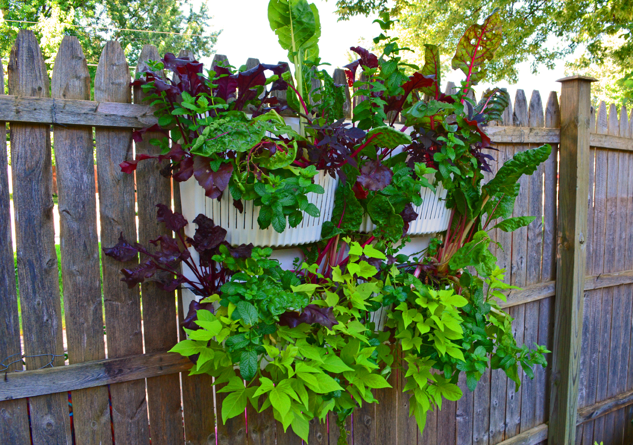Vertical Garden Planters Are Easy To Install in Full Shade ...