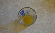 How To Kill A Fruit Fly