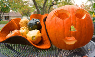 Pumpkin faces and felted bowl