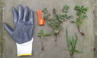 Ringweeder Tool and Weeds