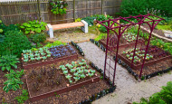 Shade Garden Design Vegetable Colorblocking