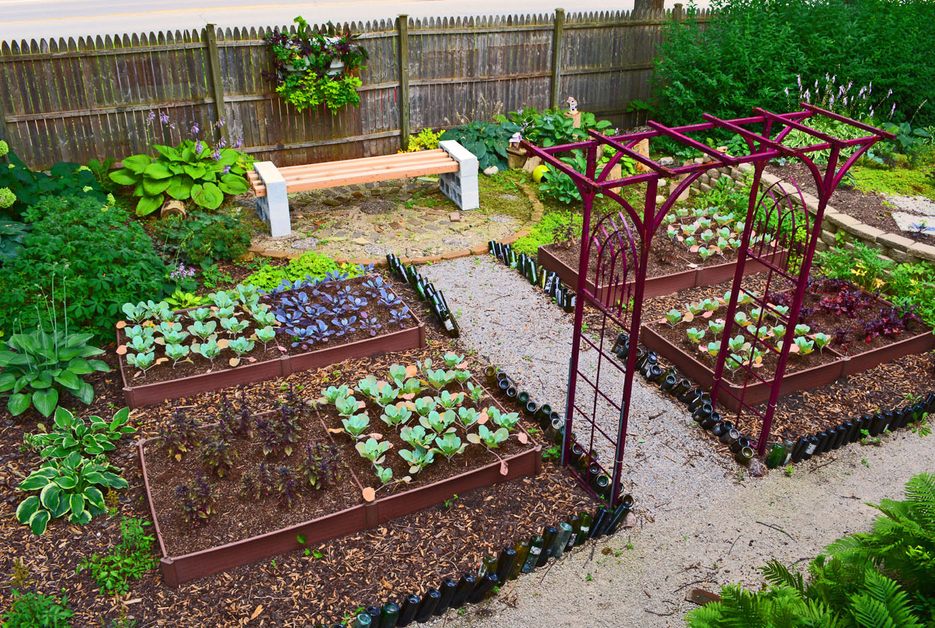 Shade Garden Design Technique - Vegetable Color Blocking - Shawna Coronado