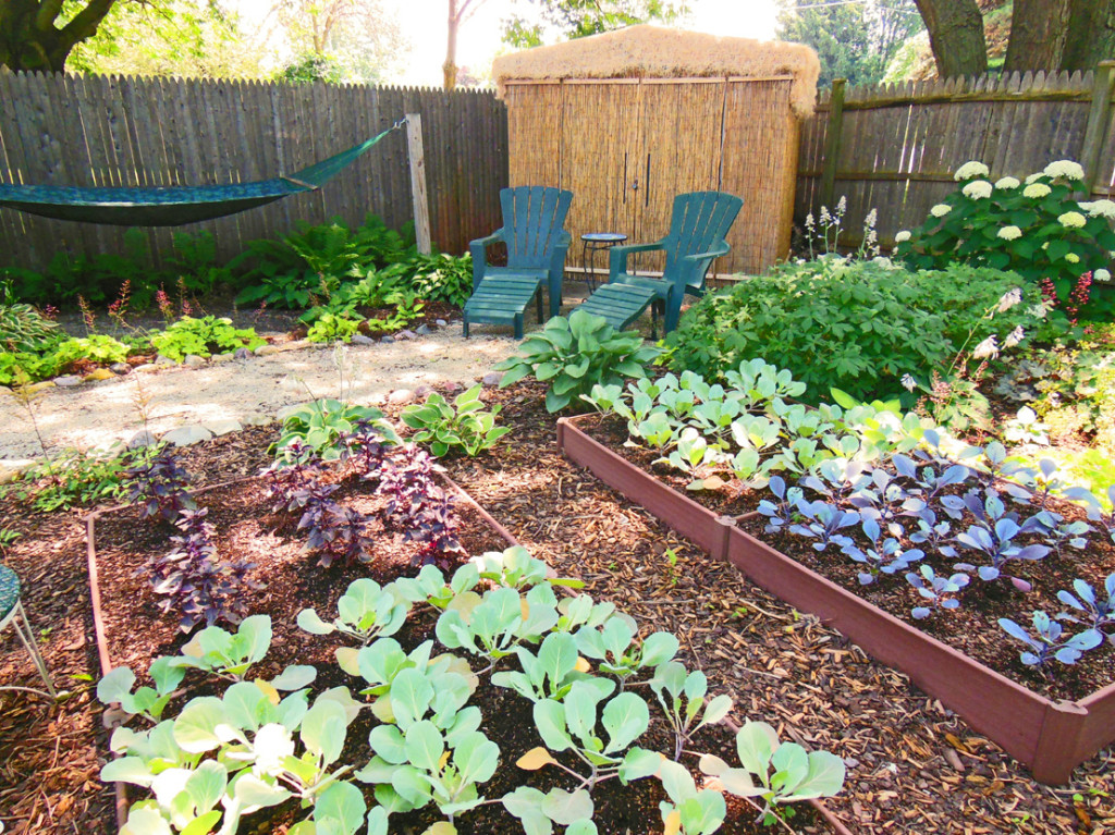 Shade Garden Design Technique - Vegetable Color Blocking - Shawna Coronado