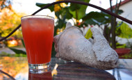 Blood Orange Screwdriver Cooler Cocktail Recipe