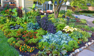 Front Lawn Vegetable Garden Design