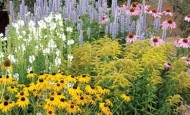 High Country Gardens Summer Dreams Pre-Planned Garden Photo