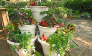 Container Garden Tower Pyramid Vegetables