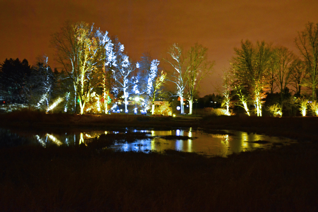 holiday tree light show at morton arboretum shawna coronado holiday tree light show at morton arboretum shawna coronado