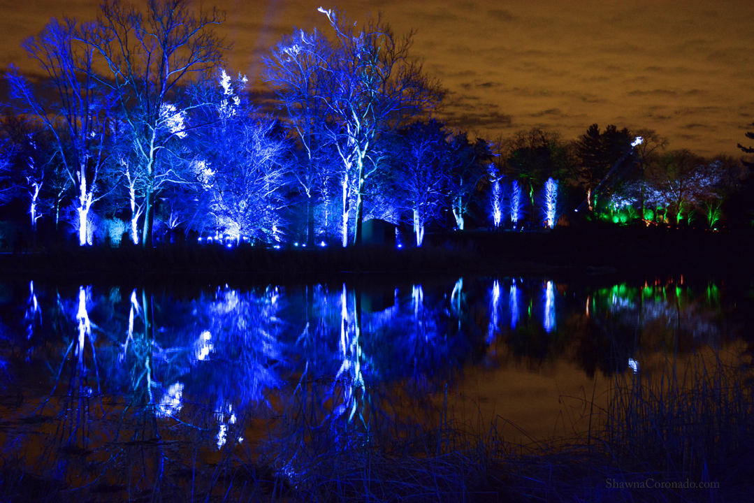 Holiday Lights at Morton Arboretum Illumination - Shawna ...
