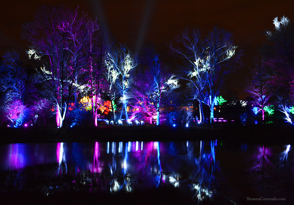 Morton Arboretum Christmas Lights Photos Cantik