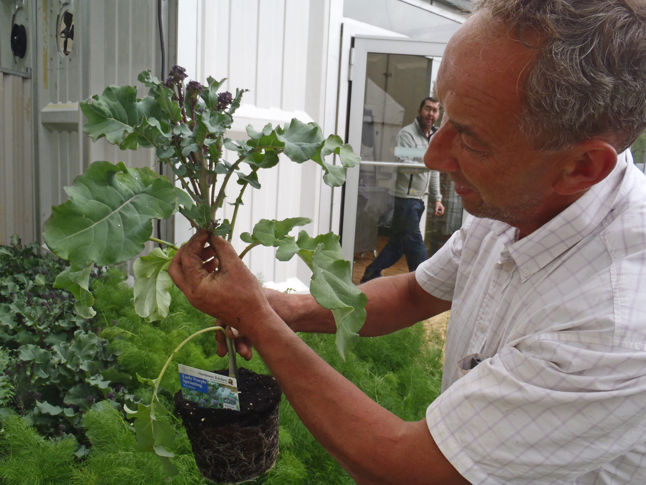 John Hogan showing his broccoli to children at Bloom 2010