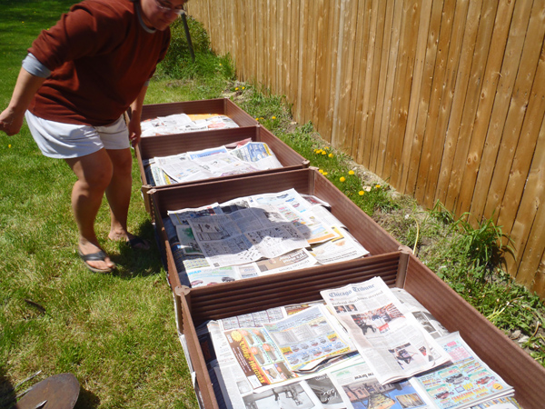 Planting Raised Beds