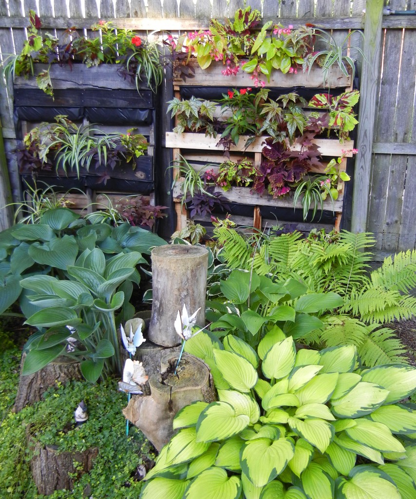 Pallet Wall Garden next to Fairy Garden in Shawna Coronado's back lawn.