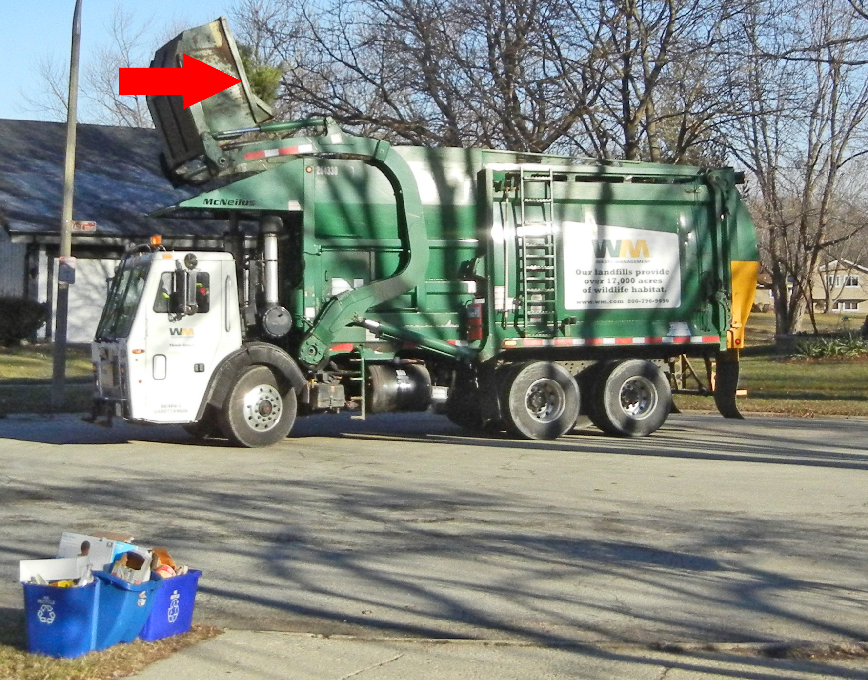 After New Year’s Christmas Tree Disposal; the Travesty of Dishonest Garbage Disposal Companies