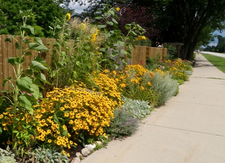 Shawna Coronado's beautiful behind-the-fence garden late summer.