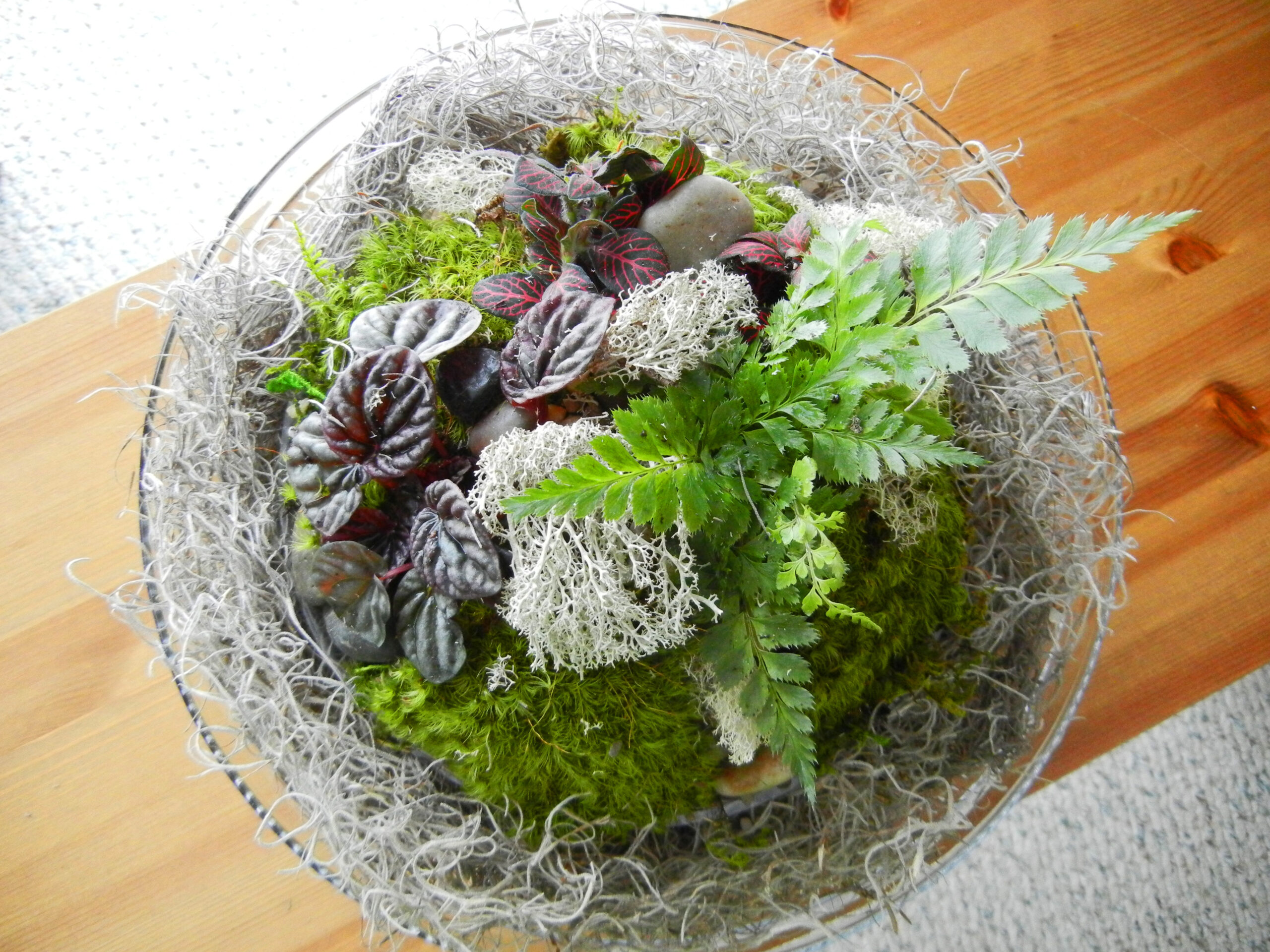 A New Twist On The Old Terrarium; Enviro-Cakes™ Review and Give-Away