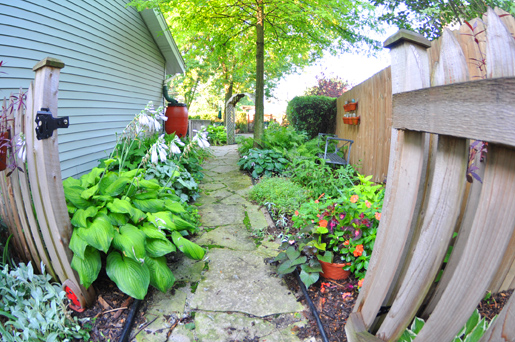 Shawna Coronado's shady side garden.