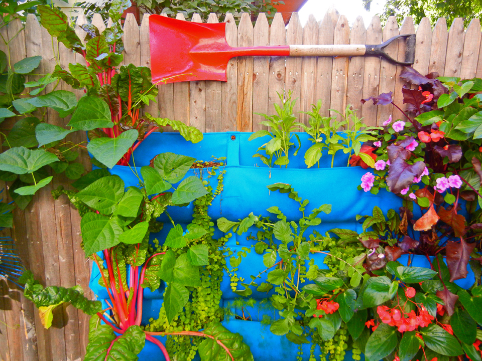 Wall garden with Woolly Pocket and shovel art.