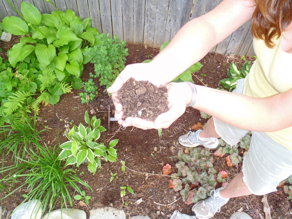 Composted manure and soil