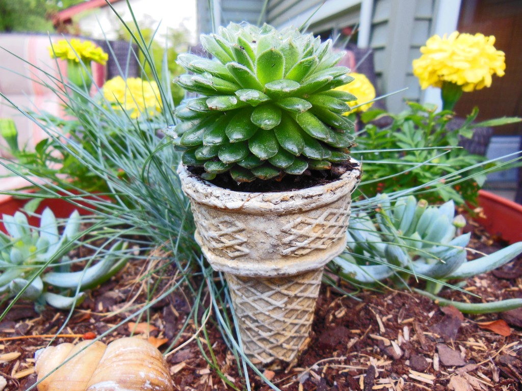 A Darling Little Ice Cream Cone Container Garden Shawna Coronado