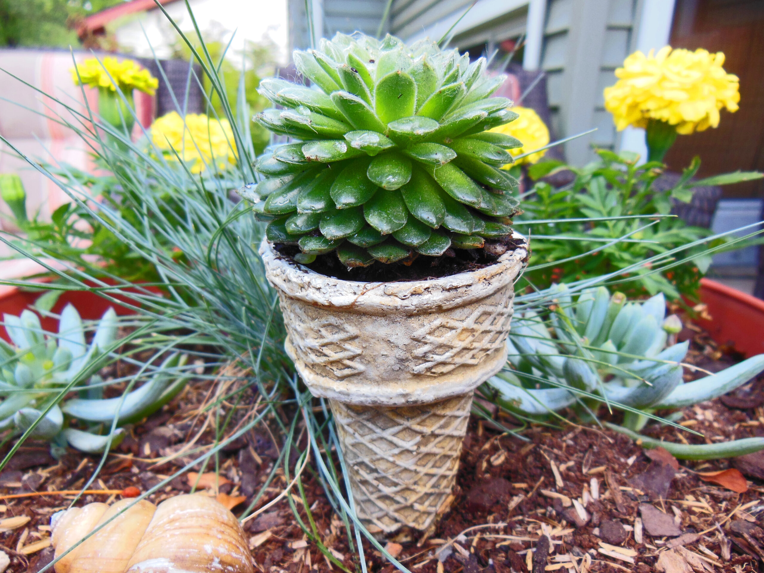 Ice Cream Cone Container Garden