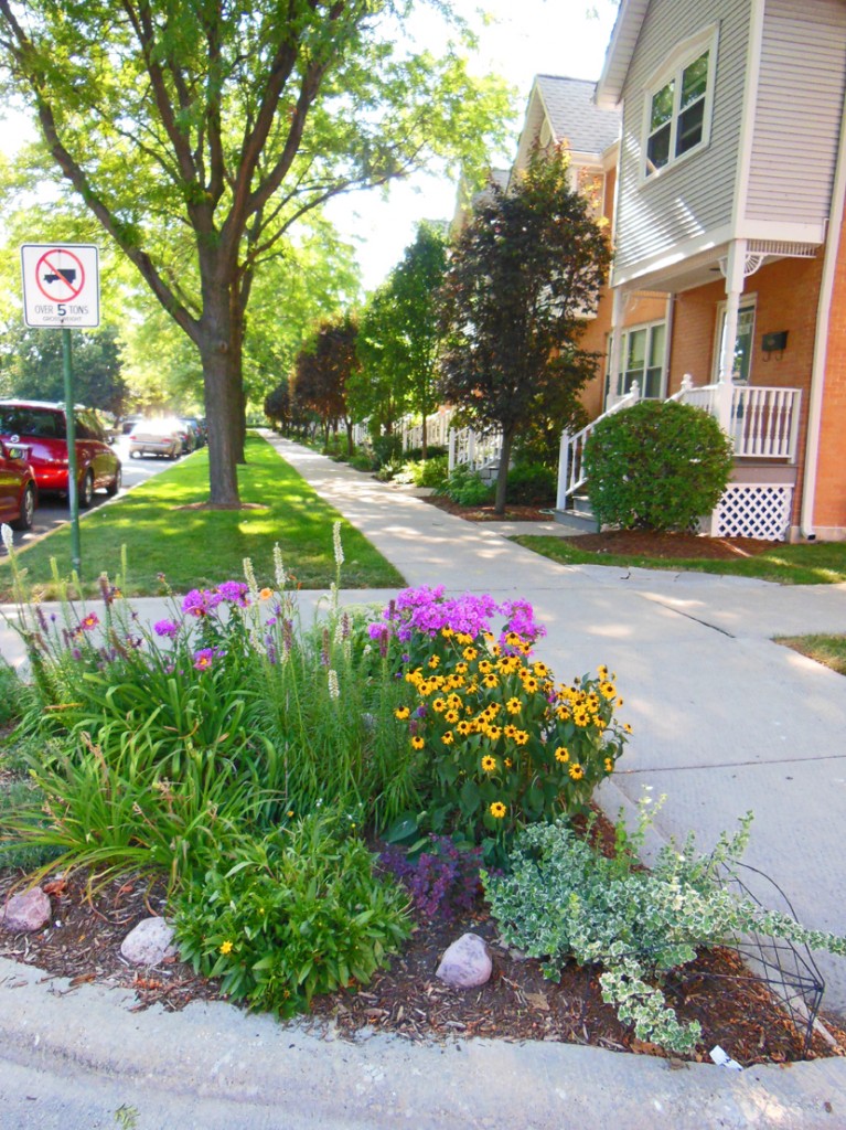 City of Chicago right of way planting.