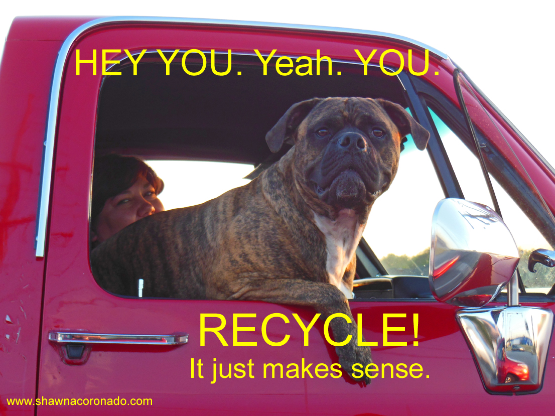 Super Recycle Dog