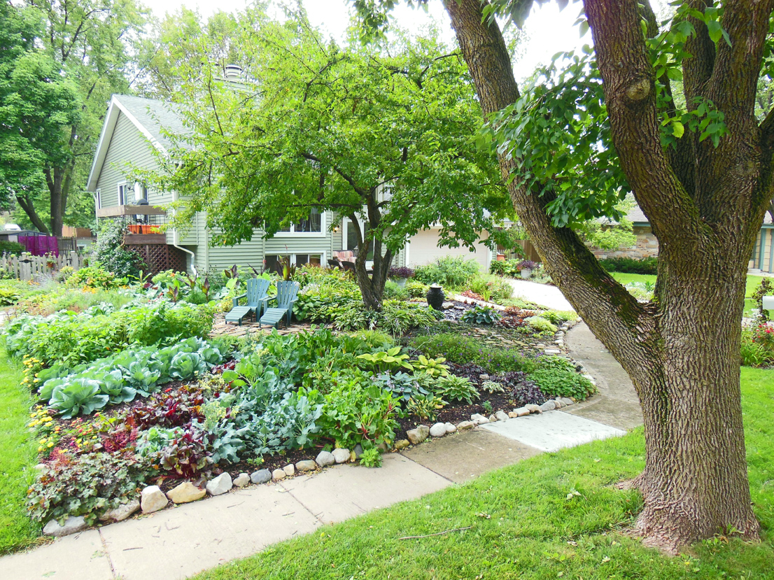 front lawn vegetable garden design – sun ray garden