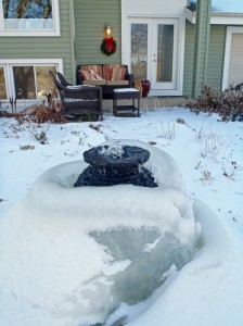 Shawna Coronado's rainwater cistern fountain in winter.