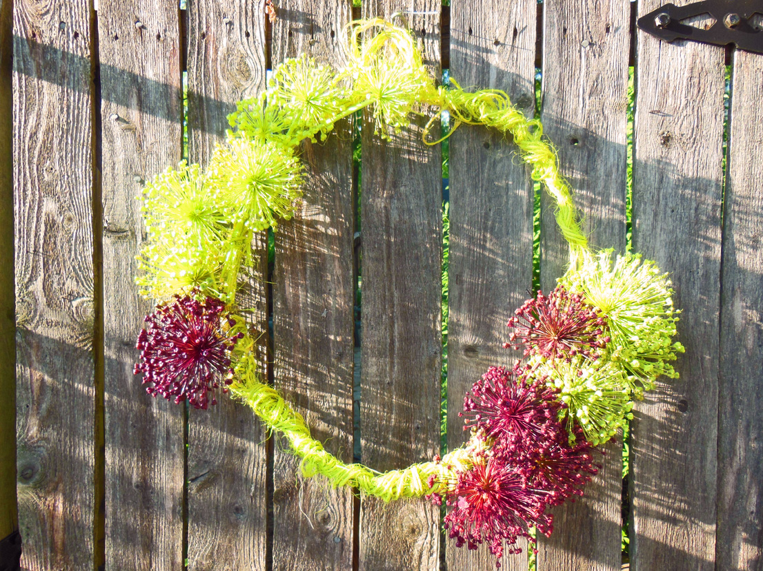 Allium Wreath