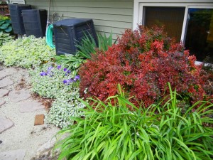 Compost Bin in the suburbs