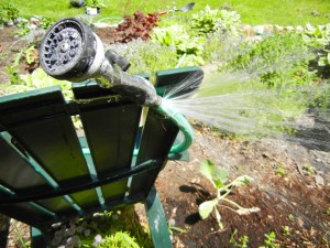 watering garden with ripped hose